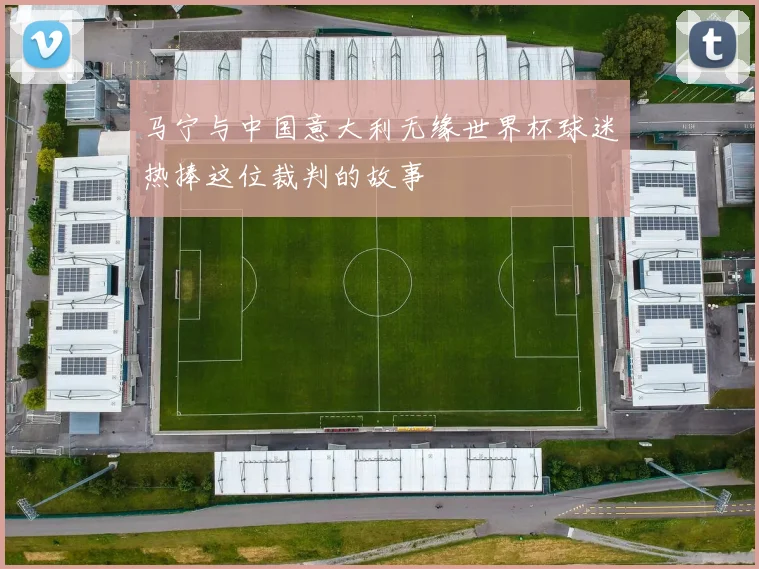 马宁与中国意大利无缘世界杯球迷热捧这位裁判的故事