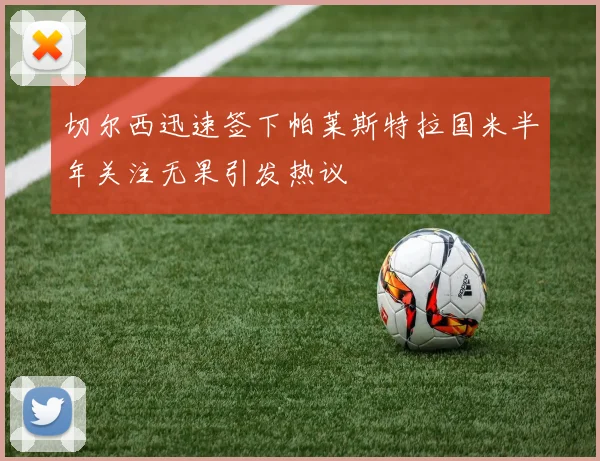 切尔西迅速签下帕莱斯特拉国米半年关注无果引发热议